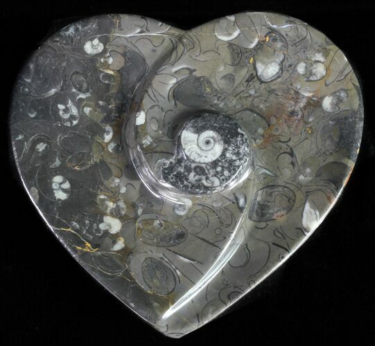 Heart Shaped Fossil Goniatite Dish #61280